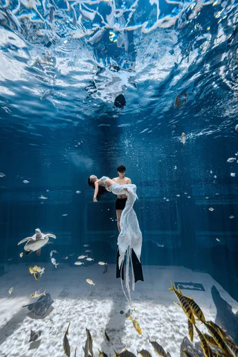 新人在一个大型水族馆的水下 周围有鲨鱼和其他鱼游动。