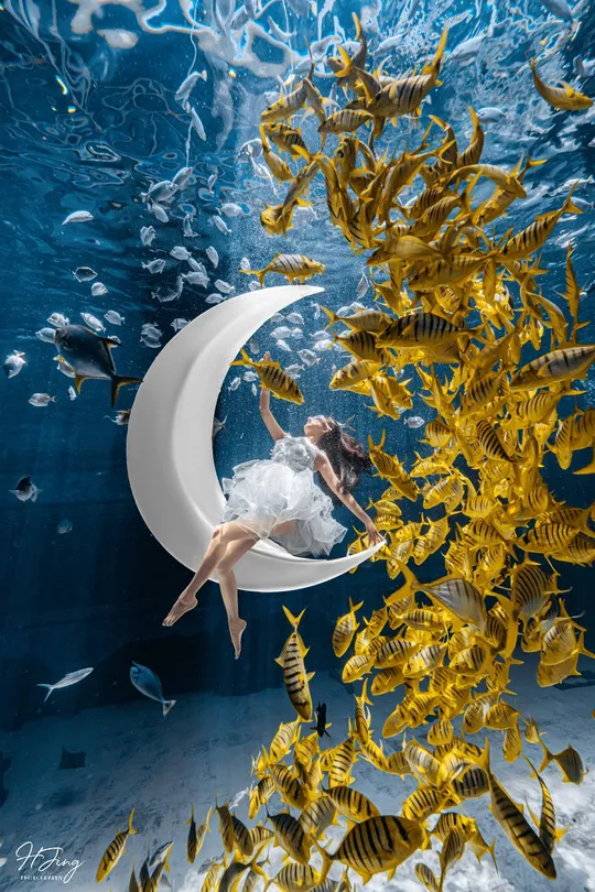 一位穿着裙子的女人坐在月亮上 周围有鱼在游泳。