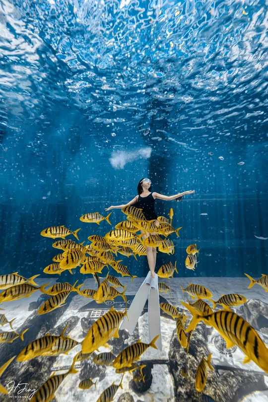 一位穿着黄色连衣裙的女子站在一个大型水族馆里 水族馆里有黄色的鱼在游动。