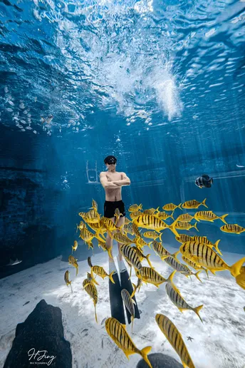 一个年轻男子站在水下看着一大群鱼在海洋中游泳。