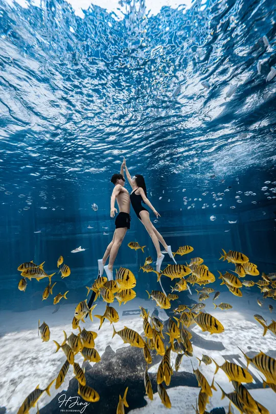 一个年轻女子在海底与鱼一起游泳 