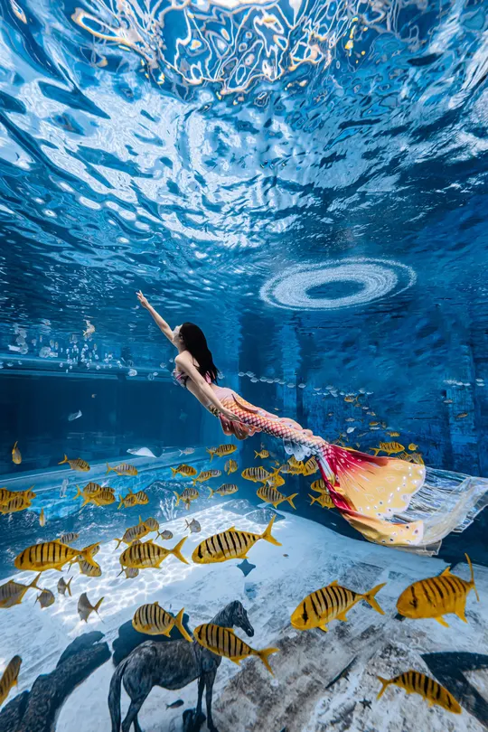 一位穿着连衣裙的年轻女子在大型水族馆的水下游泳 水族馆内有游动的鱼。