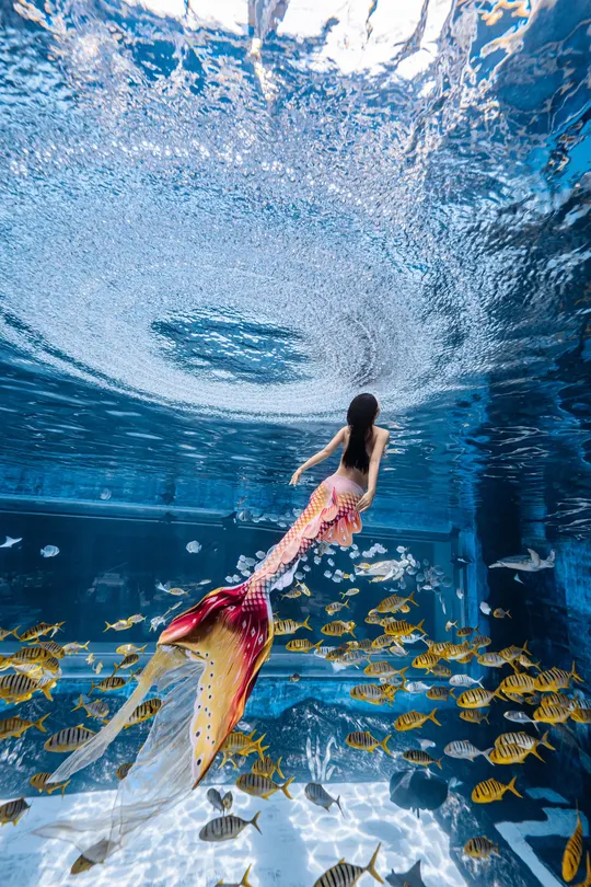 一位穿着连衣裙的女人在一个大水族馆里游泳 水族馆里有游动的鱼。