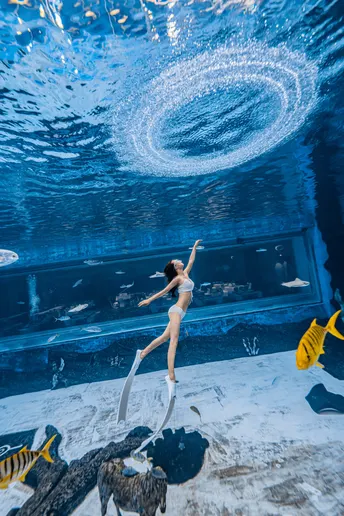 一个在水族馆里游泳的女人 水中的鱼在游泳。