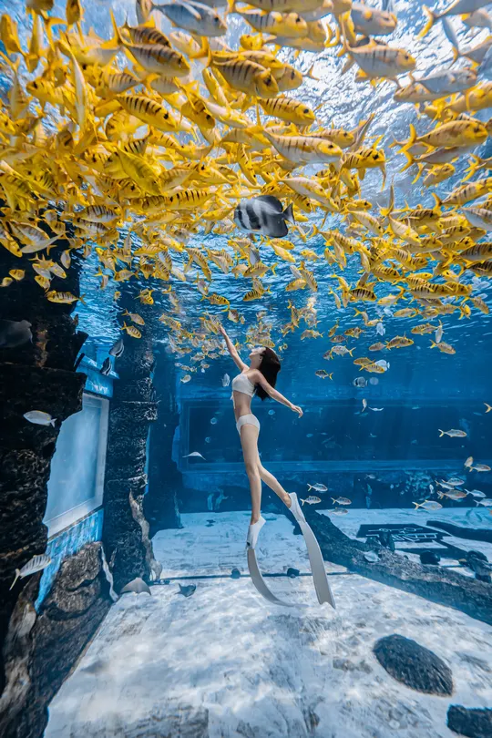 一位年轻女子在一个大水族馆里游泳 水族馆里有鱼在游动。