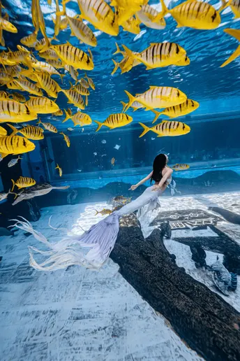 一个穿着白色连衣裙的女人在一个大水族馆里 水中有鱼在游泳。