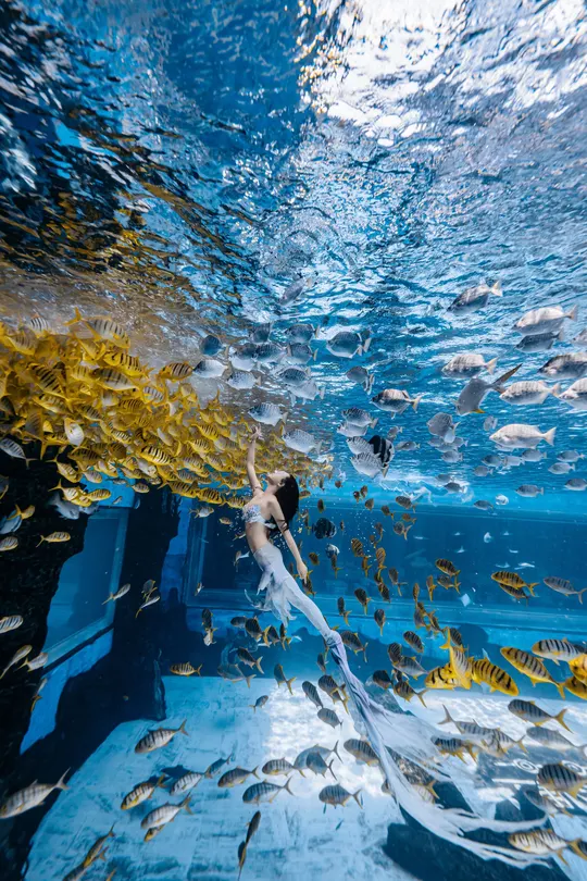 一个在海中游泳的女人 周围有一群鱼。