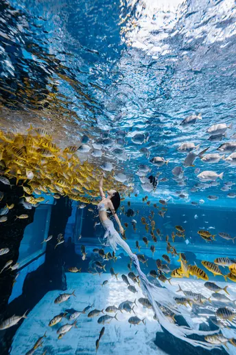 一个在海中游泳的女人 周围有一群鱼。