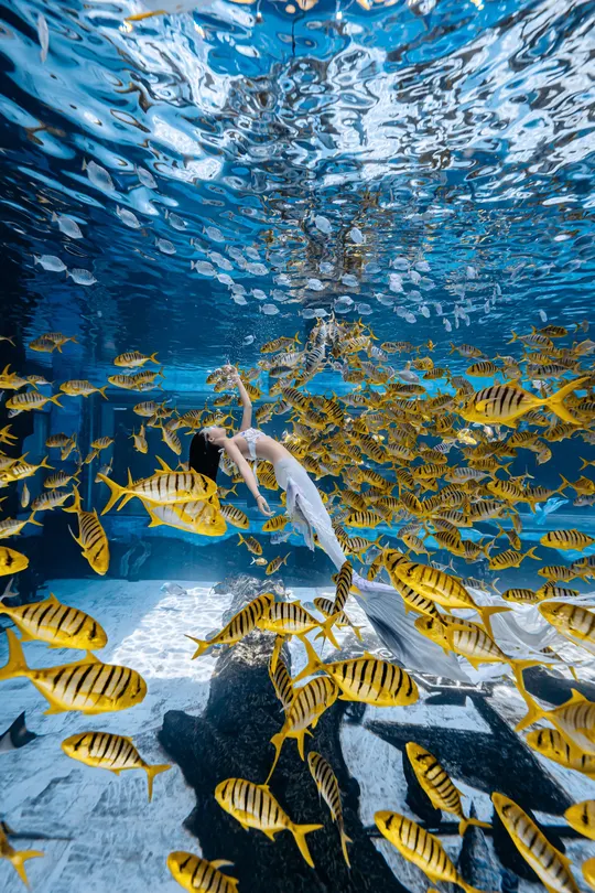 一个穿着裙子的年轻女孩在大型水族馆的水下与热带鱼群游泳。