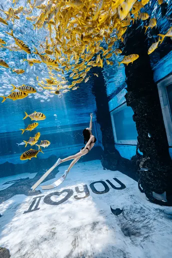 一位年轻女子在大型水族馆的水下游泳 其中有许多鱼在游动。