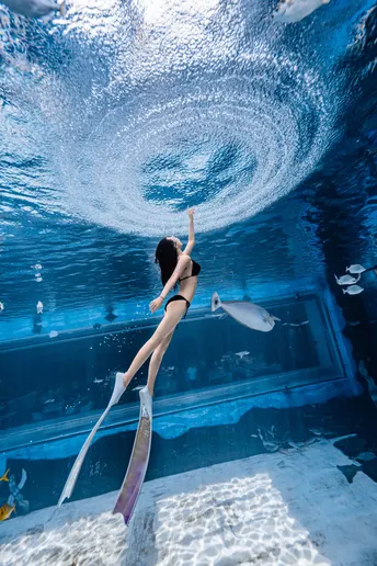 一个妇女在大型水族馆里游泳 水中有鱼在游动。