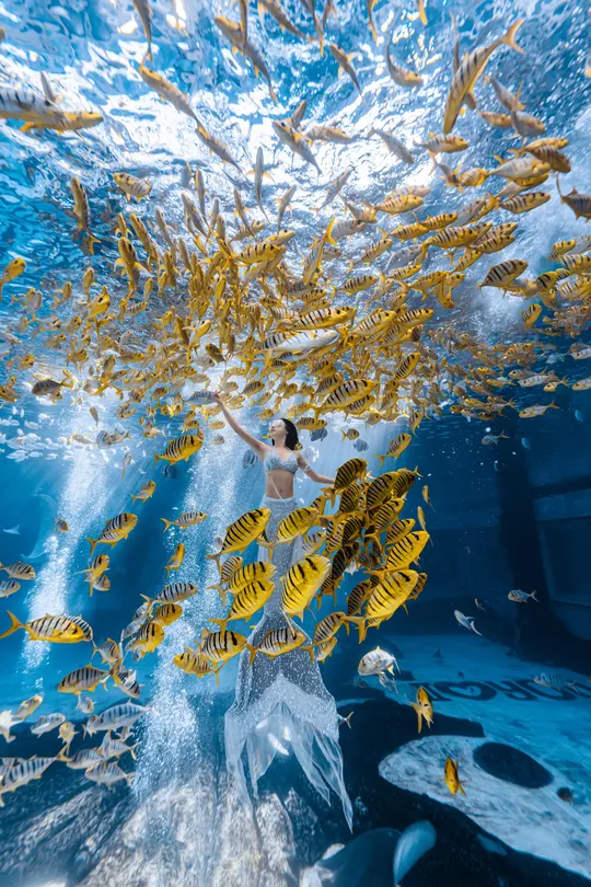 一位穿着连衣裙的女士在大型水族馆的水下与鱼一起游泳。