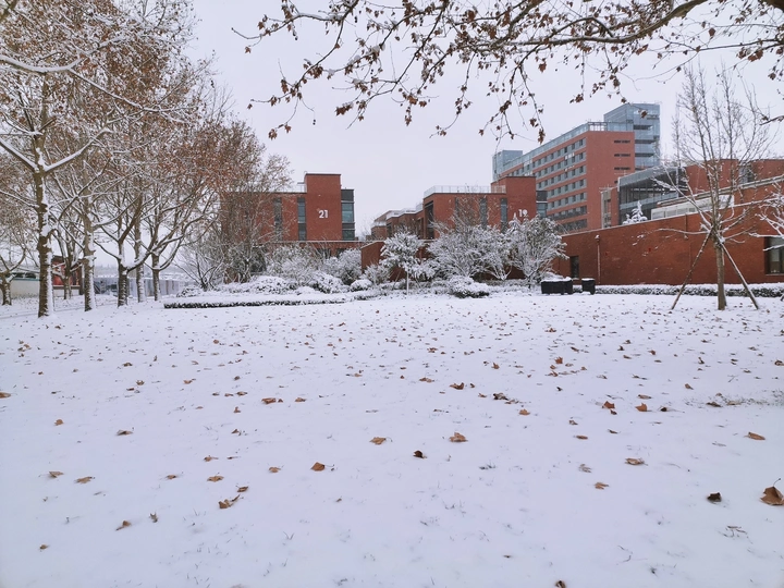 雪后智城