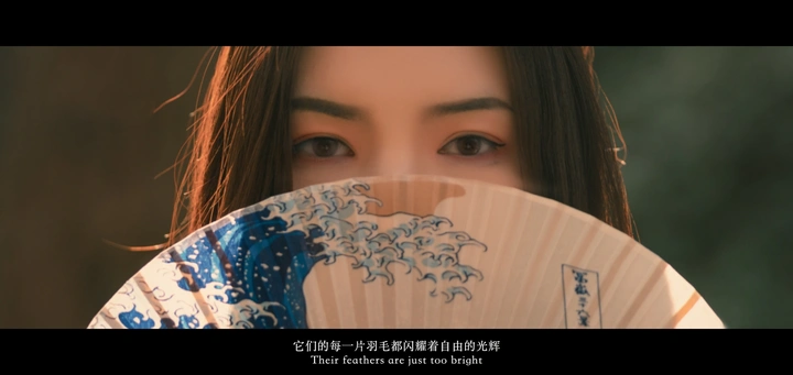 染光