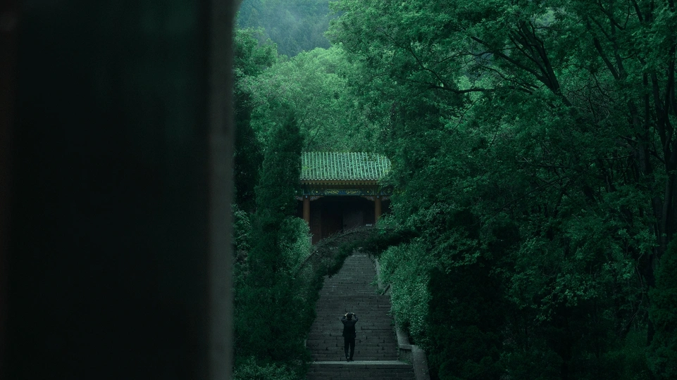 一个人沿着小路走进一条绿树成荫的黑暗隧道