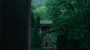 一个人沿着小路走进一条绿树成荫的黑暗隧道