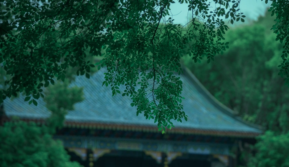 一张带伞的长凳立在一个背景是宝塔的绿色公园里