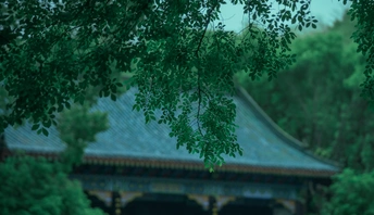 一张带伞的长凳立在一个背景是宝塔的绿色公园里