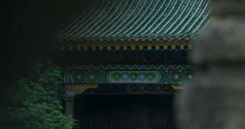 一只猫站在通往宝塔的大门前