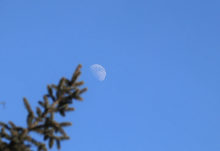 大白天