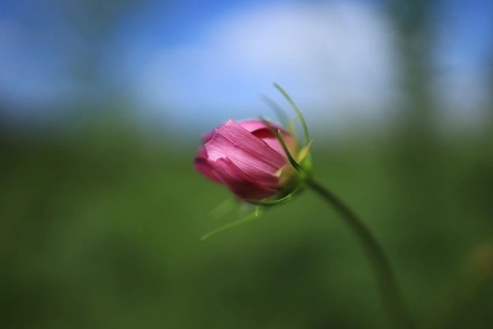 新玩具RF24f1.8