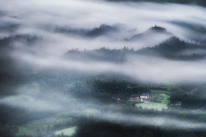 雾在有树木和房屋的山谷上涌动