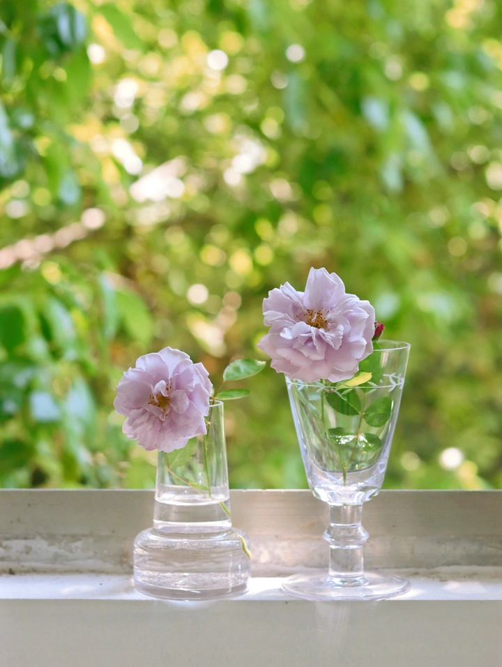 玻璃瓶和花