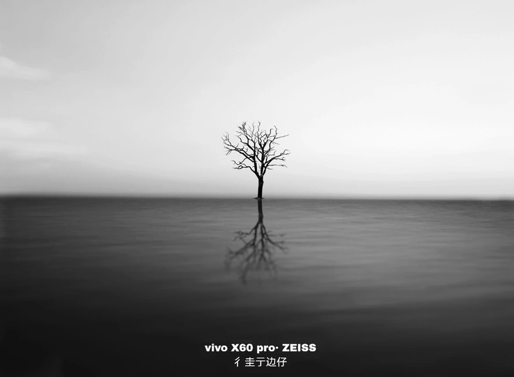 一棵树独自矗立在海洋中的黑白照片