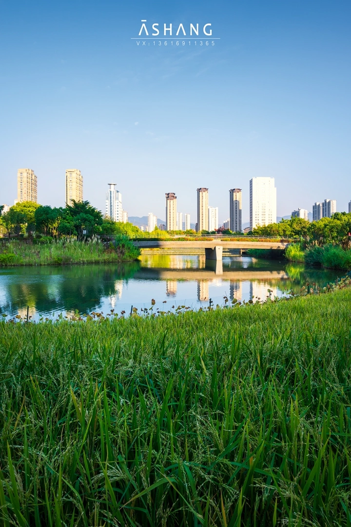 《硕果稻园》，摄于龙岩龙津湖公园！