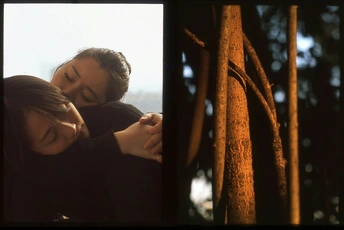 拥抱在树木丛生的森林中的男人的图片