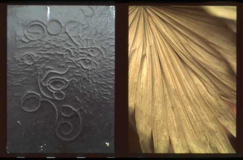 房子的前门上的彩色玻璃窗