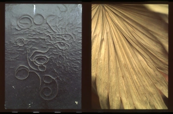 房子的前门上的彩色玻璃窗