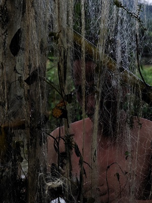 一个长满苔藓和藤蔓的厕所坐落在沼泽地的中央 背景中有树木生长。