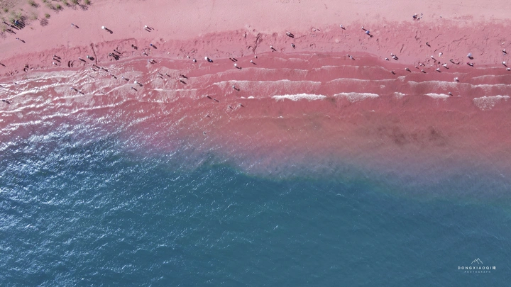 PINK&BLUE