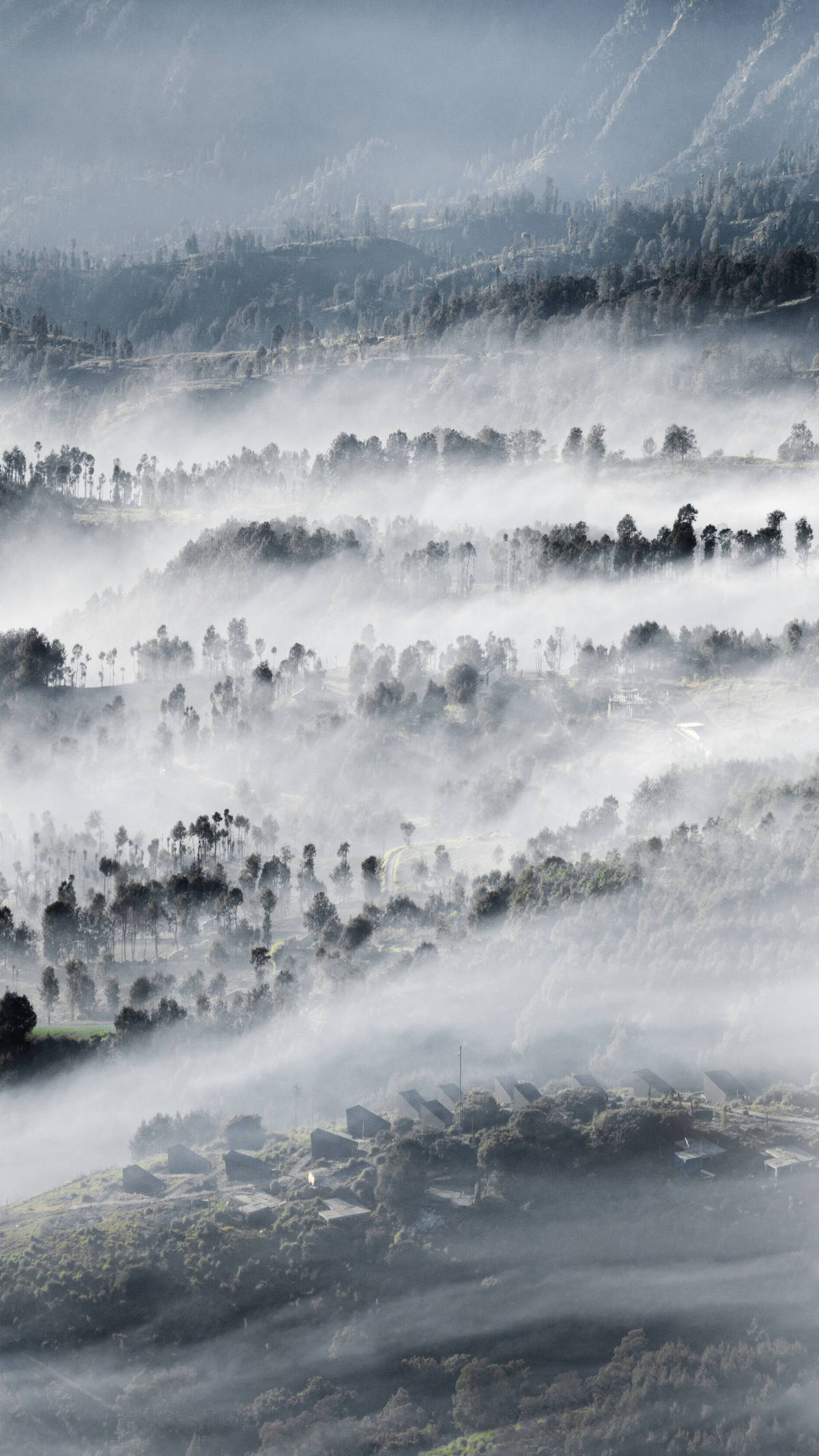 雾气缭绕的早晨 山丘起伏 云雾缭绕 树木葱郁。
