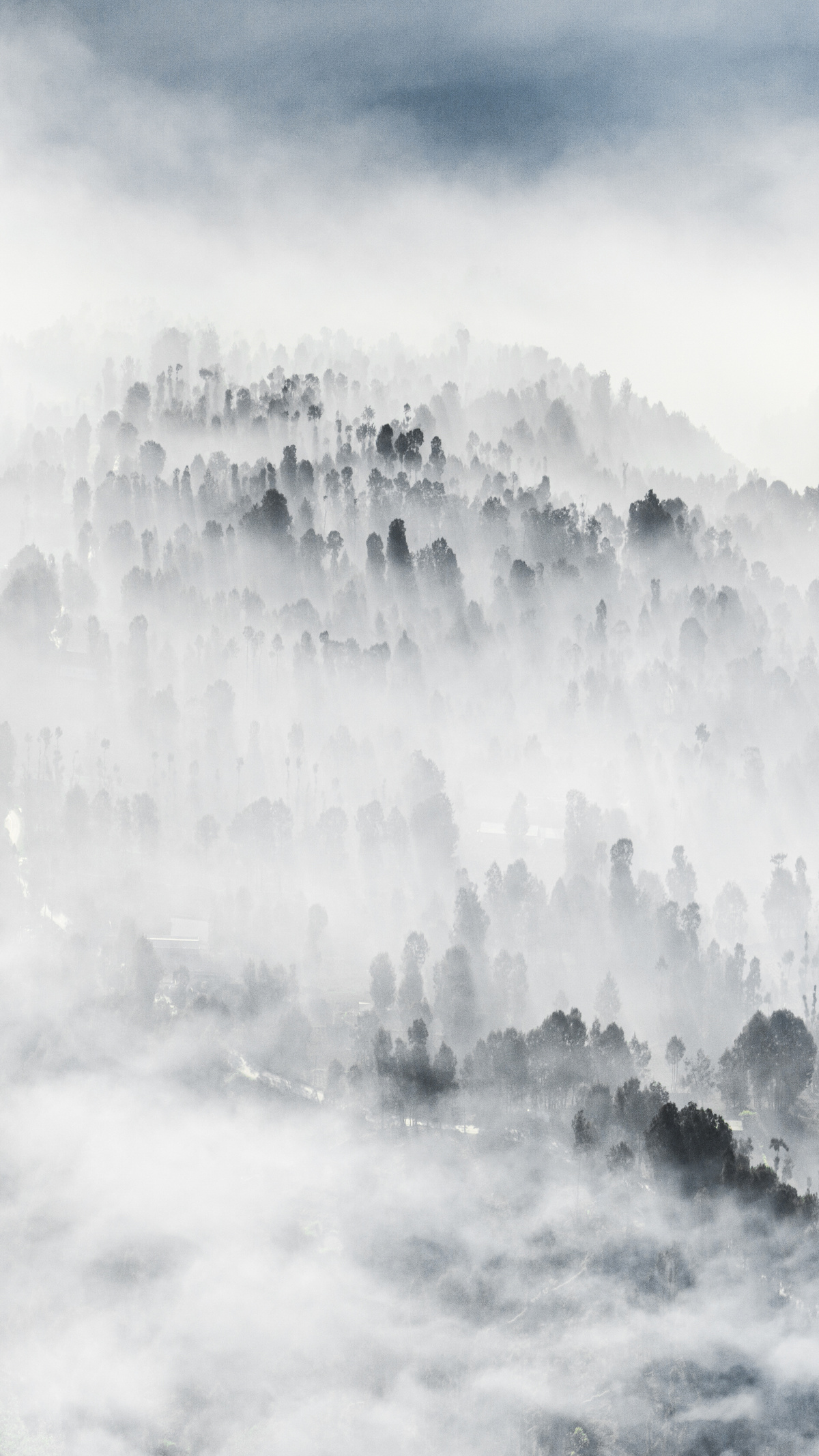 雾气缭绕的山谷