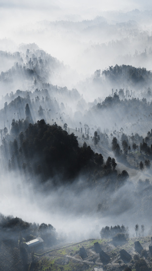 晨雾中的丘陵景观