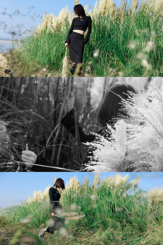 一片草地上的女人照片集