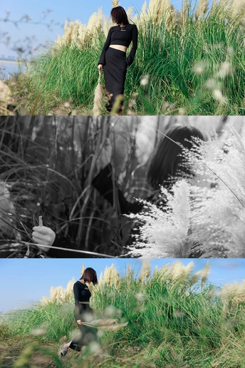 一片草地上的女人照片集