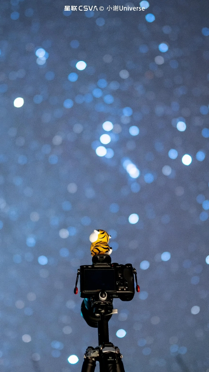 仰望星空