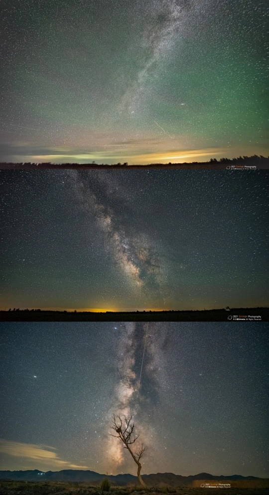 夜晚的树和天空中的星星的照片