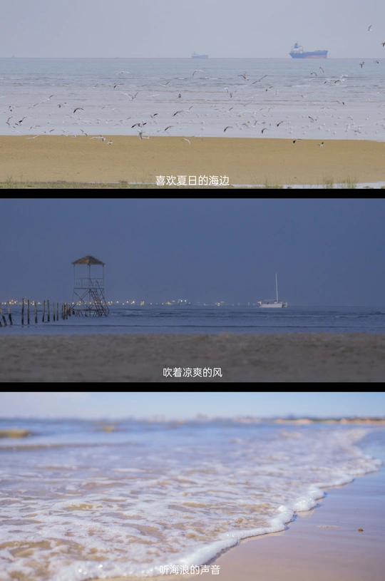 一片分割图像显示了一个海滩和海洋 远处有一艘船和水中的一些鸟。