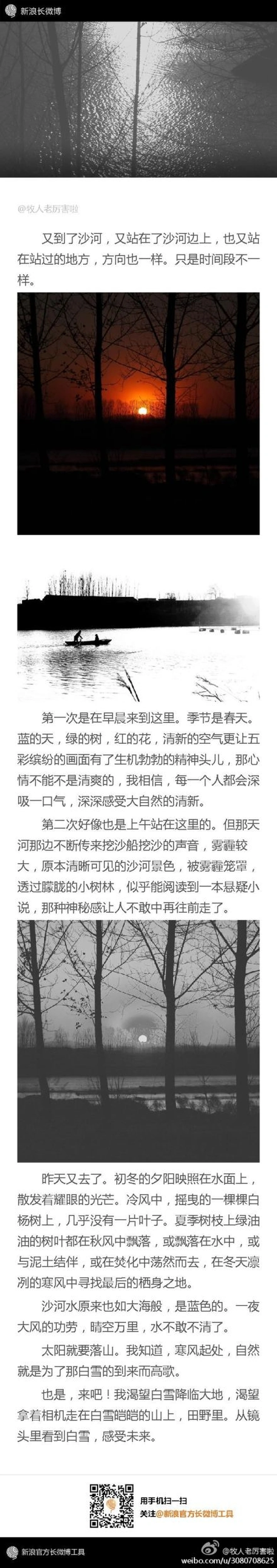 平凤——每日一拨