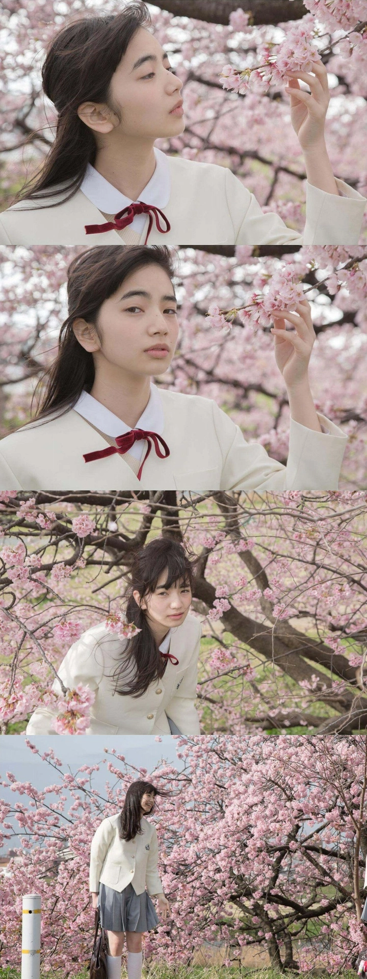 樱花女孩
