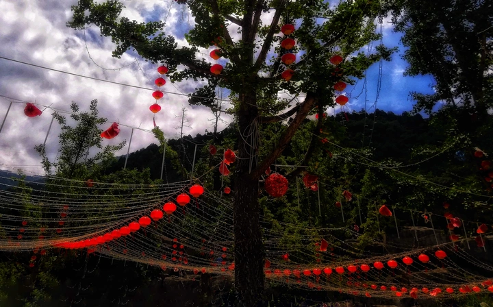 灯彩（手机摄影）