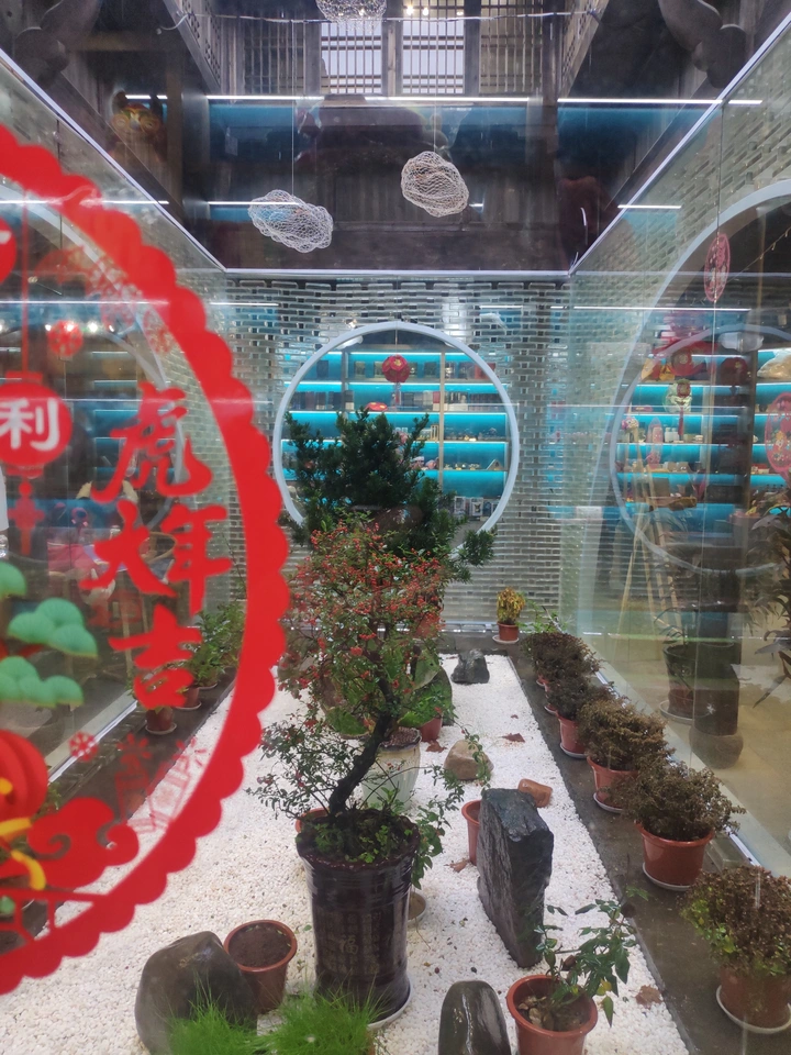 玻璃宫的年味