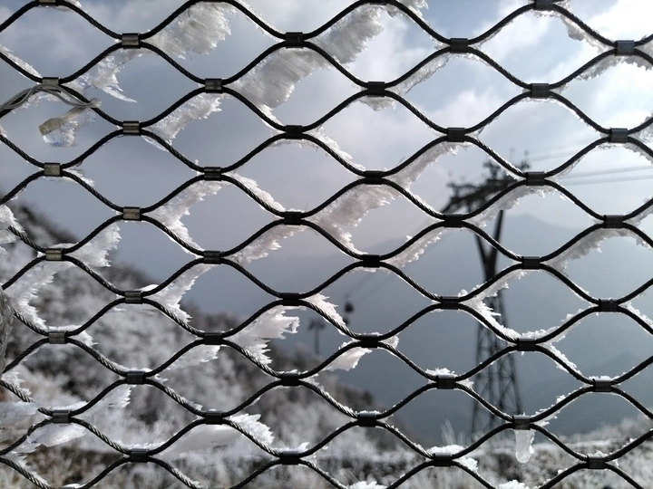 一网雪深