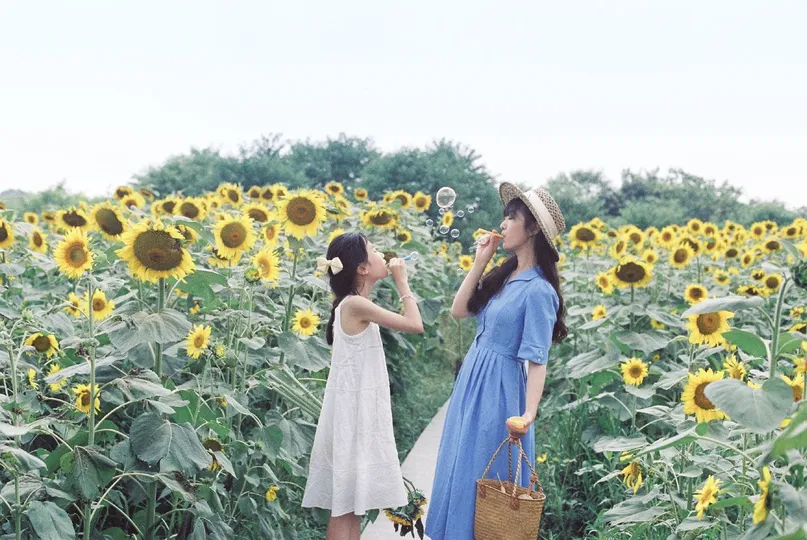 一位年轻女子正在给一个小女孩在向日葵花田里拍照