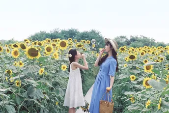 一位年轻女子正在给一个小女孩在向日葵花田里拍照