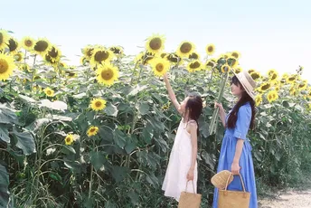 一位穿着蓝色连衣裙的年轻女子在向日葵花田里抱着一个小女孩。